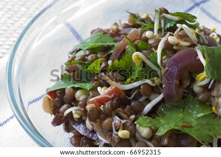 Selective focus image of an Asian Lentil salad.