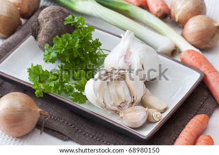 Still life with garlic and other vegetables like carrots, spring onions, beetroots, onions and parsley.