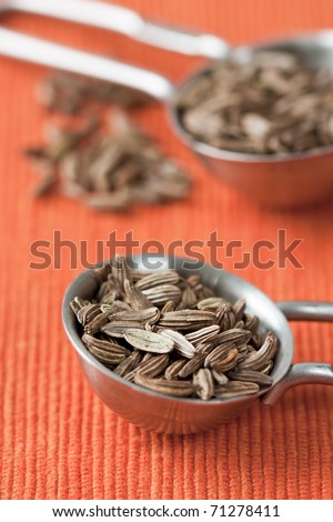 Close up image of measuring spoons with fennel seed and orange background.
