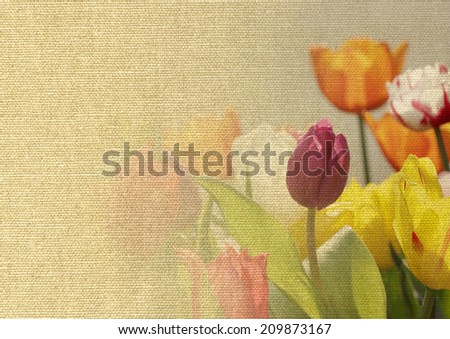 colorful tulips on canvas texture background
