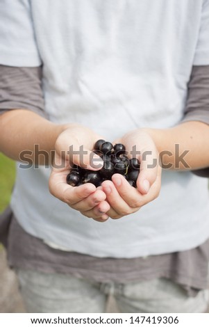 A child holding out blackcurrants in cupped hands. Soft focus, most of the photo is out of focus