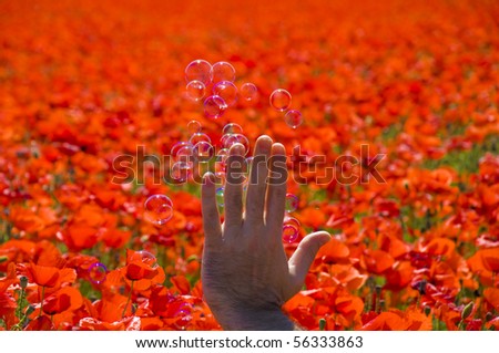 bubbles out of hand in poppy field