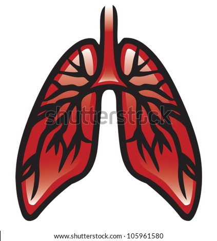 pic of lungs