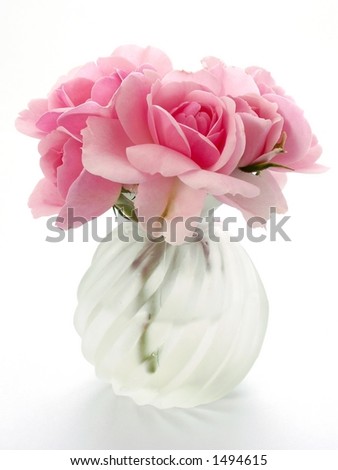 pink rose flower wallpaper. pink rose flowers pictures.