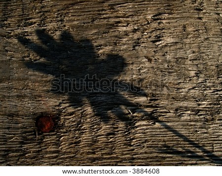 shadows on old rotten board in sunny light