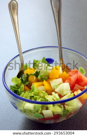 fresh vegetable salad in bowl: cucumber, tomato and celery