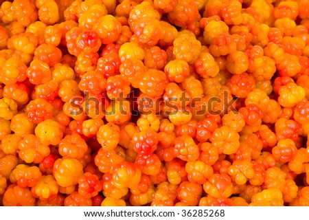 Ripe orange berries arranged as a background