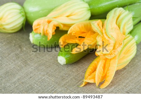 Marrow squash with flowers on canvas. Focus on foreground