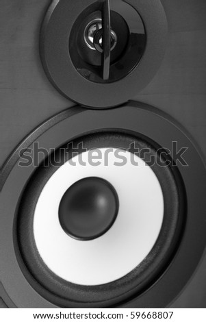 Dual Speaker in black and white