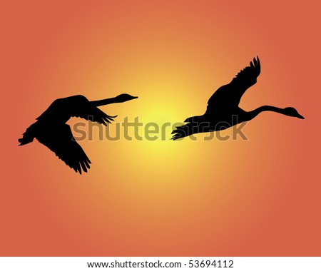 swan flying silhouette