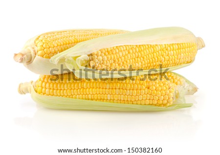 Corn Ears Isolated on White Background