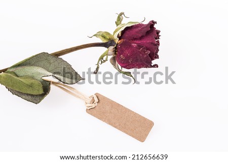 dried rose with name tag