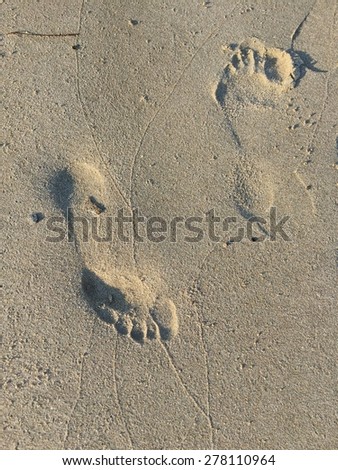 foot tracks