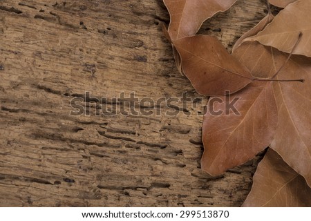 autumn template with dried leafs on wood