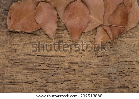 autumn template