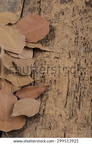 autumn template