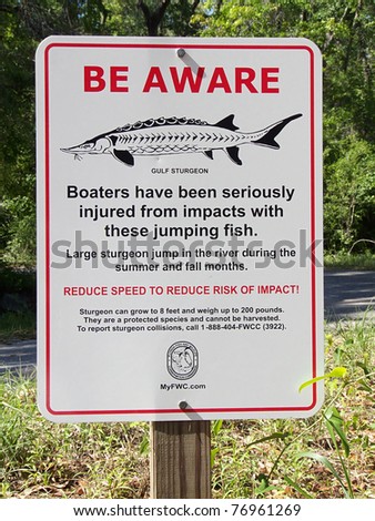 Sign at Lafayette Blue Springs State Park, Florida, along the Suwannee River. The threatened Gulf Sturgeon is a subspecies of sturgeon present in the Gulf of Mexico and some rivers draining into it.