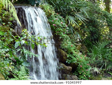 Waterfall flowing over rocks, surrounded by tropical foliage, flowers, berries, and ferns.