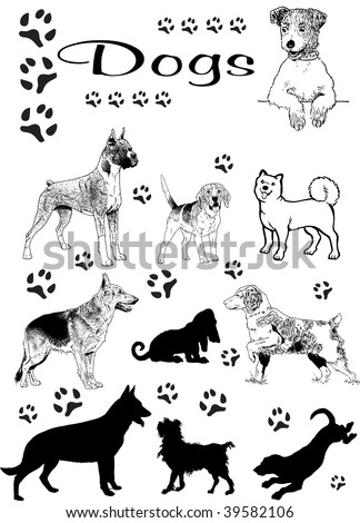 Dogs Vector
