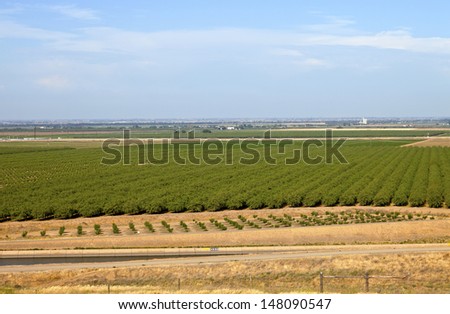 Central California farms and orchards valley view.