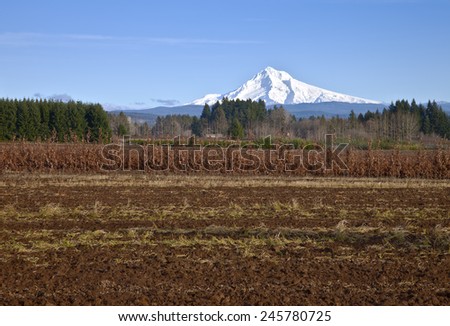 Mt. Hood in snow and farmland rural Oregon.