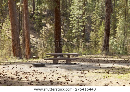 Picnic area and Ponderosa pine trees forest area Bend Oregon region.