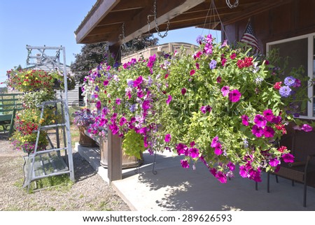 Flower basket and racks with flower displays outside a country store Oregon.