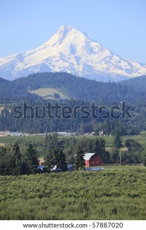 Mount Hood & the Hood River valley orchards, Oregon.