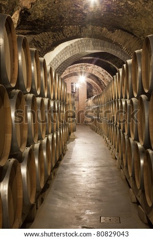 hallway of an old cellar with wine barrels