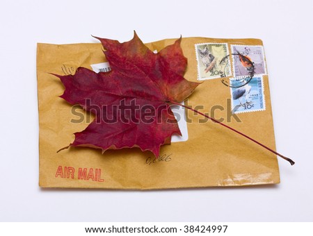 Leaf Envelope