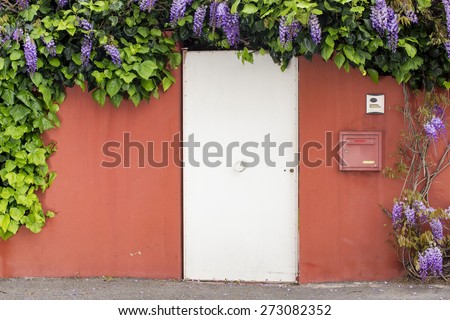 Wisteria and green leaves hang on the red wall and white door as background