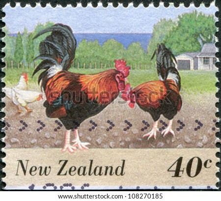 NEW ZEALAND - CIRCA 1995: A stamp printed in New Zealand, shows farm animals - roosters, circa 1995
