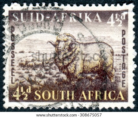 SOUTH AFRICA - CIRCA 1953: Postage stamp printed in South Africa, shows Merino Ram and Sheep, circa 1953