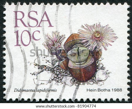 SOUTH AFRICA - CIRCA 1988: A stamp printed in South Africa (RSA), depicts a flower Didymaotus lapidiformis, circa 1988