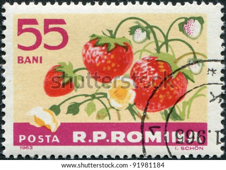 ROMANIA - CIRCA 1963: A stamp printed in the Romania, shows the Garden strawberry (Fragaria ananassa), circa 1963