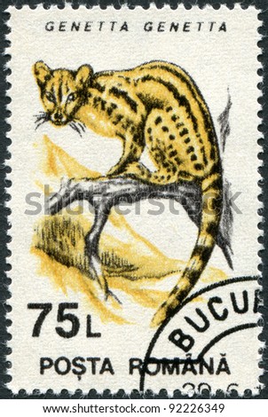 ROMANIA - CIRCA 1993: A stamp printed in the Romania, shows the Common Genet (Genetta genetta), circa 1993