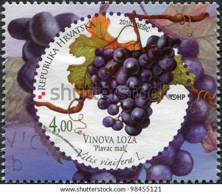 CROATIA - CIRCA 2010: A stamp printed in Croatia, is devoted to grapes, shows Vitis vinifera (Common Grape Vine), circa 2010