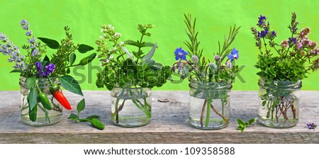 four glasses with different fresh herbs