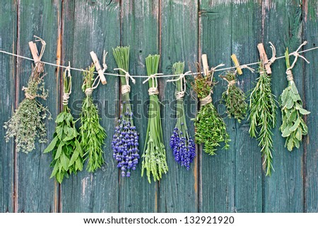 Various fresh herbs hanging in bundle on an old hut