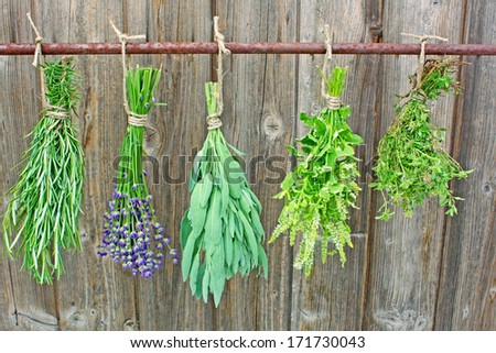 Various fresh herbs hanging in front of a wooden hut