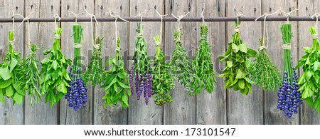 Various Fresh Herbs Hanging In Bundle On An Iron Rod In Front Of A Hut