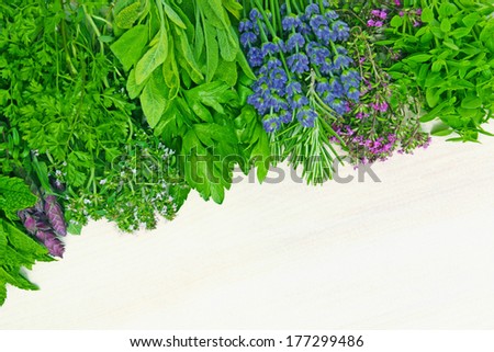 different fresh herbs on a board