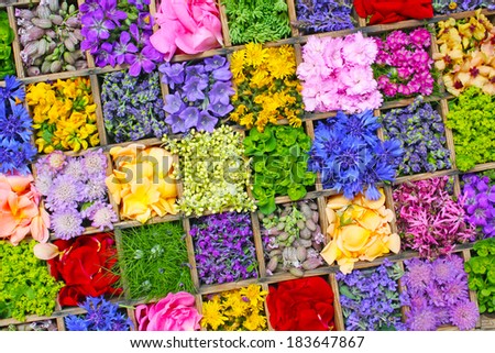 collage of different fresh flowers in wooden box