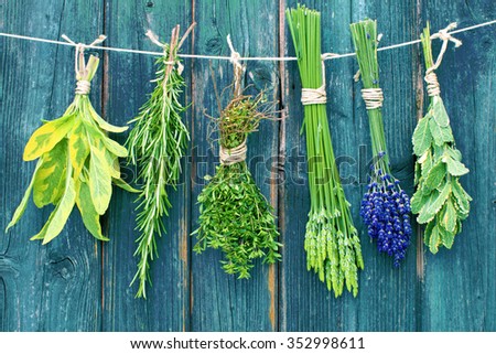 fresh herbs hanging on a washing line against a wooden wall