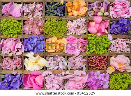 Various flowers in wooden box