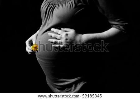 isolated pregnant woman on black background - holding yellow flower. black-white image