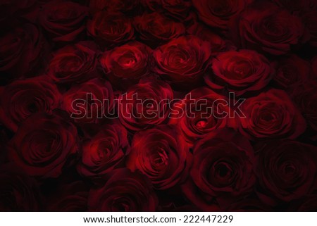 Large bright bouquet of fresh-cut big beautiful black and red roses