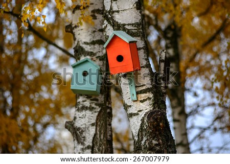 Green bird house nesting-box hang on old birch tree trunk and branches move in wind