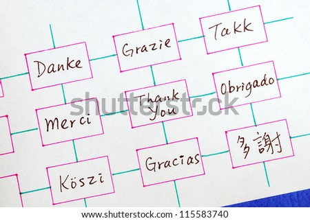 The words Thank You in different languages concepts of appreciation and thankfulness