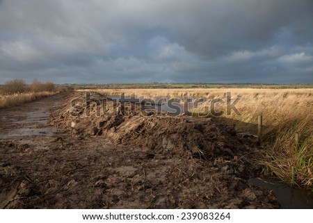 Weland flood prevention project with earth moved to form a dyke on the edge of a waterway with reeds against a dark cloudy sky.